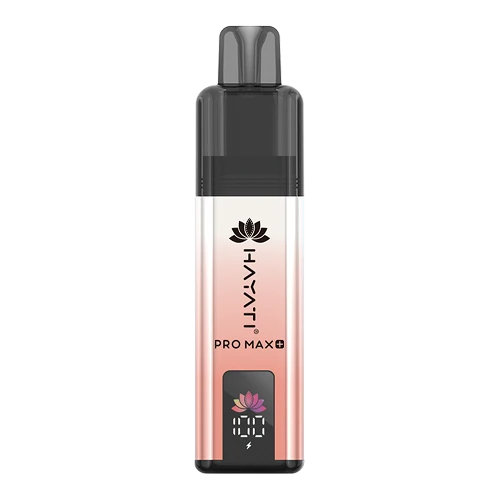 Hayati Pro Max 4000 Puffs Disposable Vape