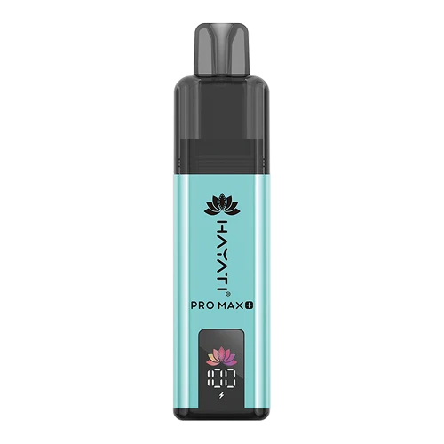 Hayati Pro Max 4000 Puffs Disposable Vape