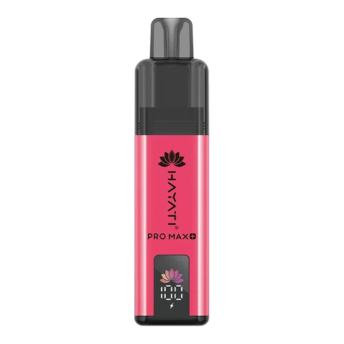Hayati Pro Max 4000 Puffs Disposable Vape