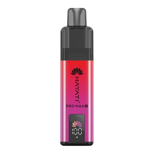 Hayati Pro Max 4000 Puffs Disposable Vape