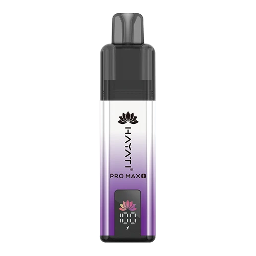 Hayati Pro Max 4000 Puffs Disposable Vape